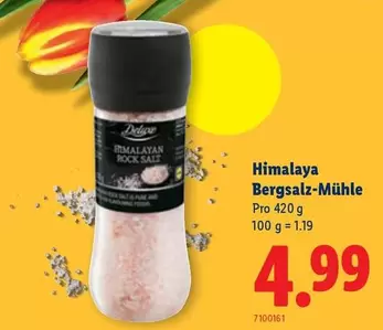 Himalaya Bergsalz-Mühle