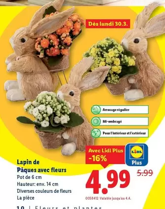 Lapin de Pâques avec fleurs