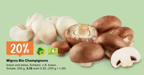 Bio Champignons