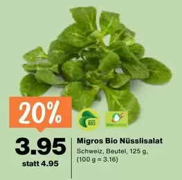 Bio Nüsslisalat