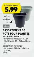 POTS POUR PLANTES