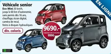 Véhicule senior Eco Mini