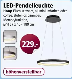 LED-Pendelleuchte