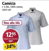 Camicia