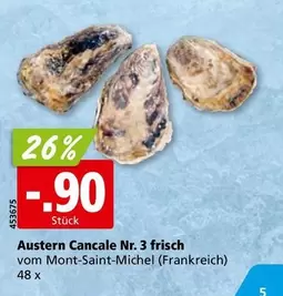 Austern Cancale Nr. 3 frisch