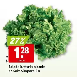 Salade batavia blonde