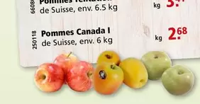 Pommes Canada I