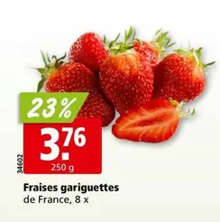 Fraises gariguettes