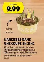 NARCISSES DANS UNE COUPE EN ZINC