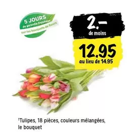 Tulipes