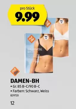 DAMEN-BH