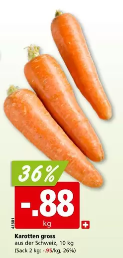 Karotten gross