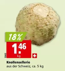 Knollensellerie