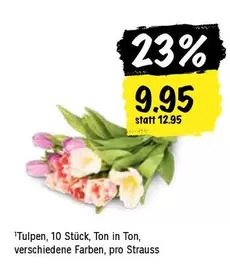 Tulpen