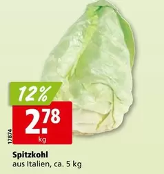 Spitzkohl