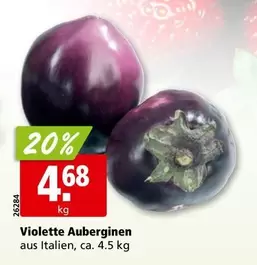 Violette Auberginen