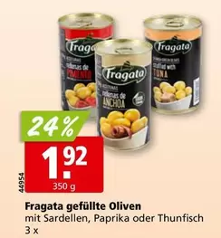 Thunfisch - gefüllte Oliven mit Sardellen, Paprika oder