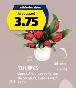 le bouquet 20 859777