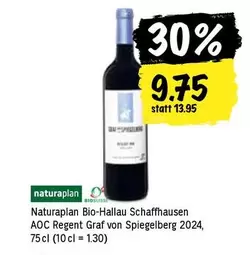 Regent - Bio-Hallau Schaffhausen AOC  Graf von Spiegelberg 2024
