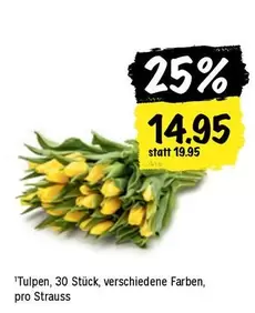 Tulpen