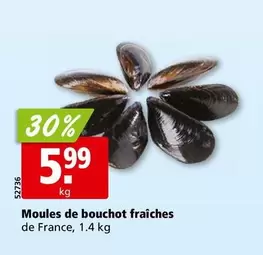 Moules de bouchot fraîches