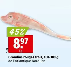 Grondins rouges frais