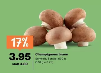 Champignons braun