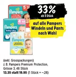 Wahl - Windeln und Pants