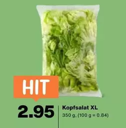 Kopfsalat XL