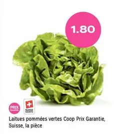 Laitues pommées vertes