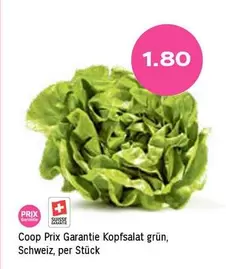Kopfsalat grün