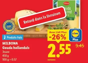 Gouda hollandais