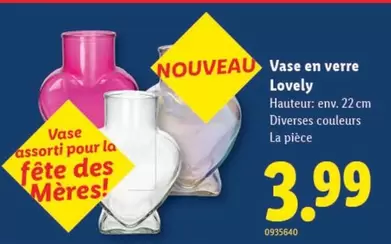 Vase en verre Lovely