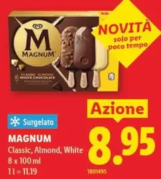 Magnum - MAGNUM