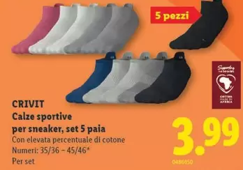 Calze sportive per sneaker, set 5 paia
