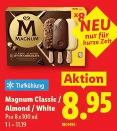 Magnum -  Classic / Almond / White