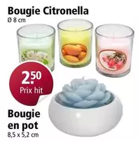 Bougie Citronella