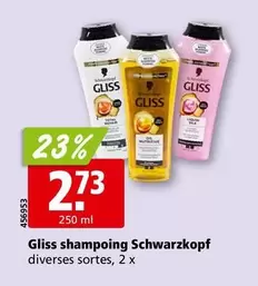 Shampooing