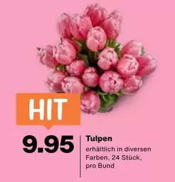 Tulpen
