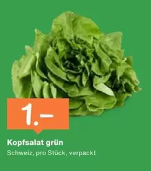 Kopfsalat grün
