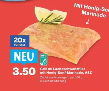 Grill mi Lachs_schwanzfilet mit Honig-Senf-Marinade