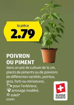 POIVRON OU PIMENT