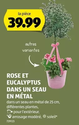 ROSE ET EUCALYPTUS DANS UN SEAU EN MÉTAL