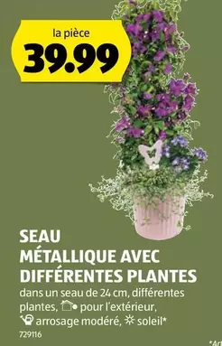 SCEAU MÉTALLIQUE AVEC DIFFÉRENTES PLANTES