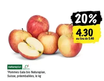 Pommes Gala bio