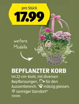 BEPFLANZTEN KORB 729095