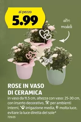 ROSE IN VASO DI CERAMICA