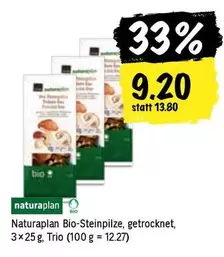 BIO-Steinpilze, getrocknet