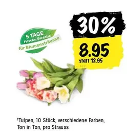 Tulpen