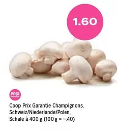 Champignons